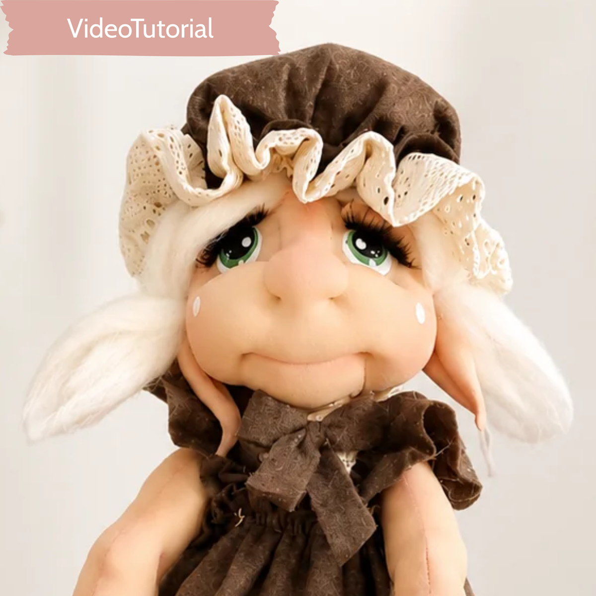 VideoTutorial Lory