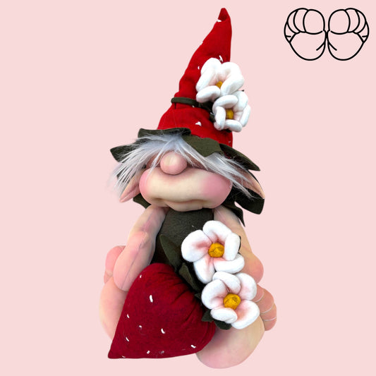 Kit Completo Elfa Fragolosa