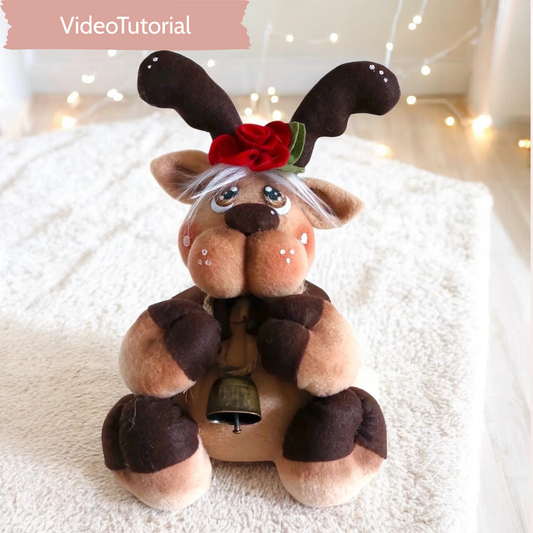 VideoTutorial Renna Rudolf