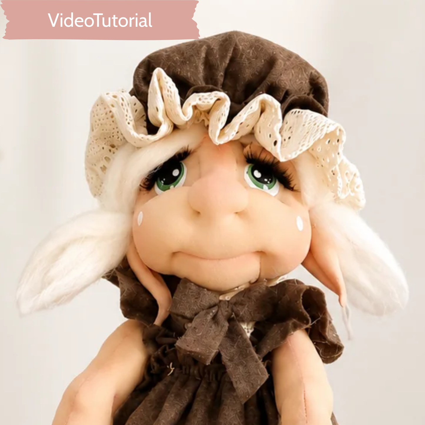 VideoTutorial Lory